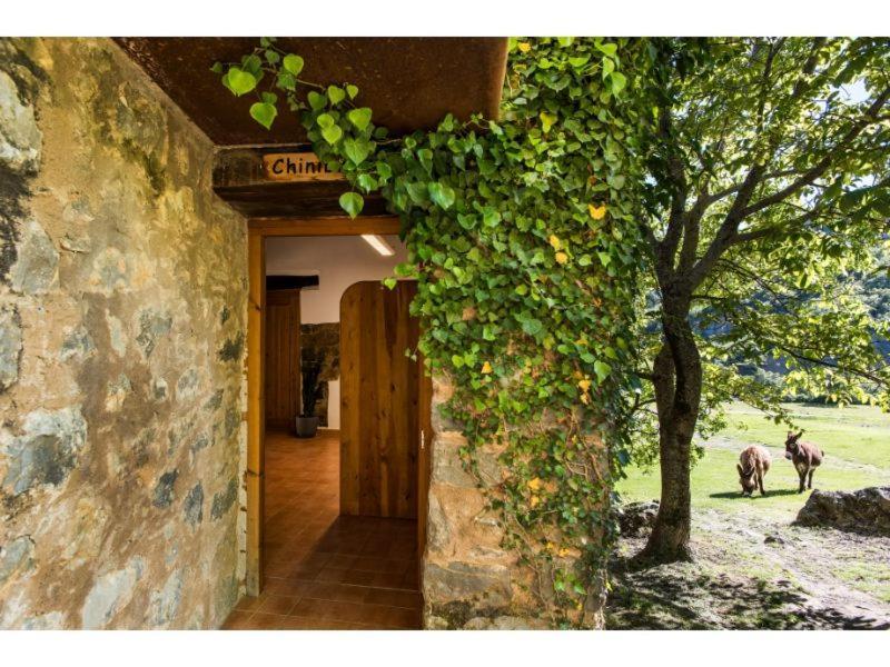 Casas Rurales Molinias Fosado 외부 사진